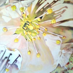 Obraz „Kwiat wiśni” 80×80 cm