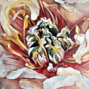 Obraz „Piwonia 1” 30×30 cm